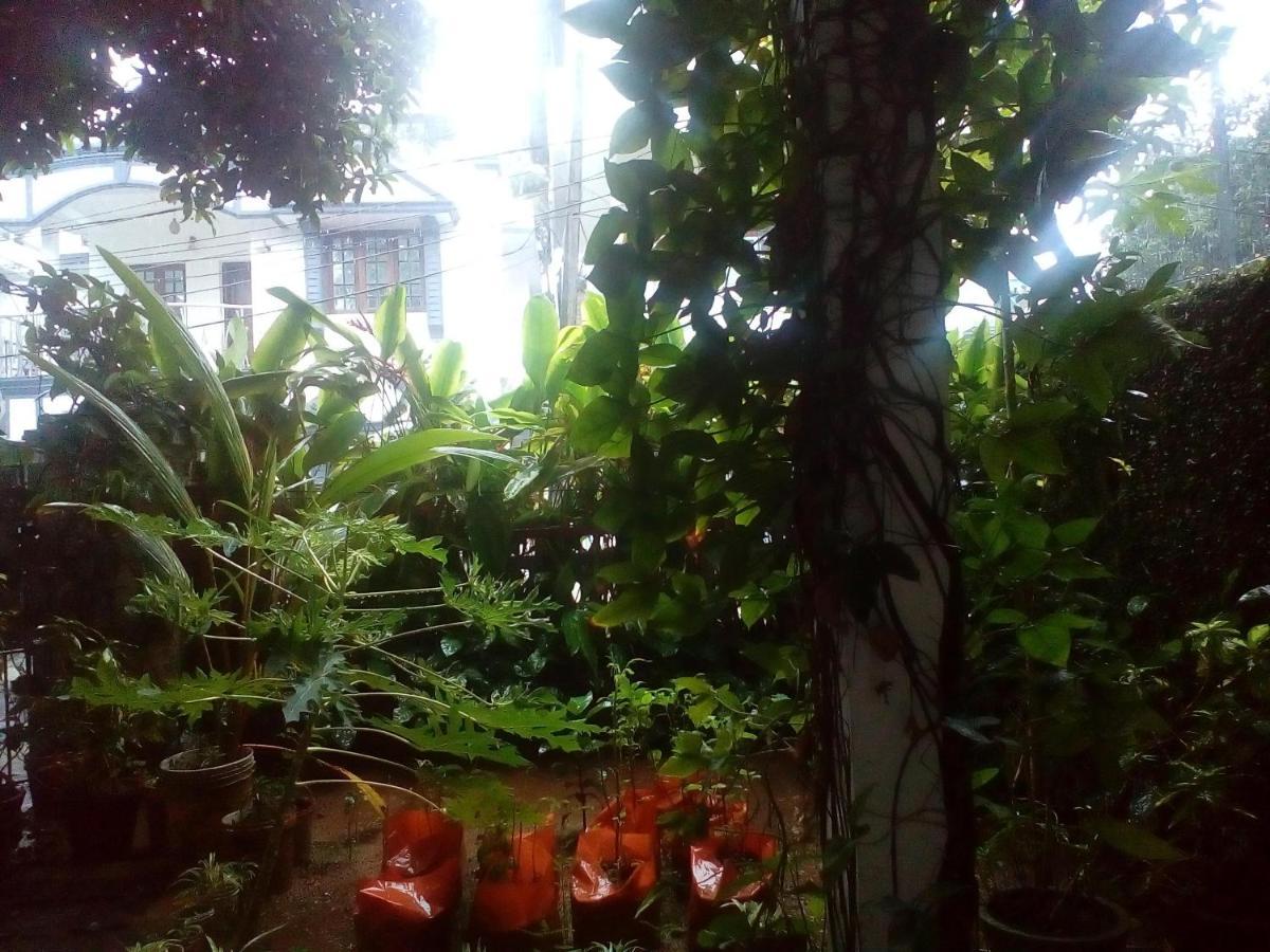 Nathans Holiday Home Kochi Exterior foto